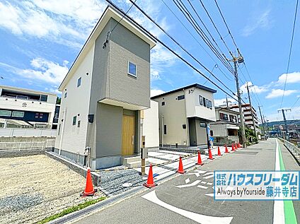 【全体画像】