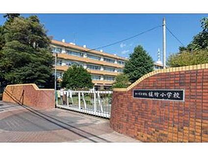 市立植竹小学校 670ｍ