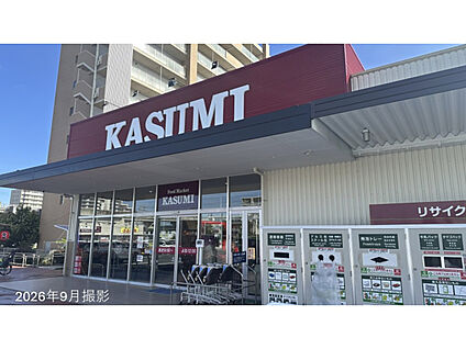 カスミ柏たなか駅前店 現地から290m～300m。(徒歩4分。(最長))