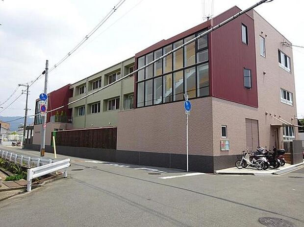 認定こども園 緑ヶ丘ふじ保育園