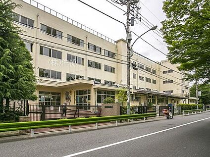 練馬区立石神井小学校 560m