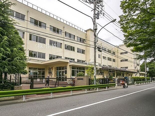 練馬区立石神井小学校(約560m)