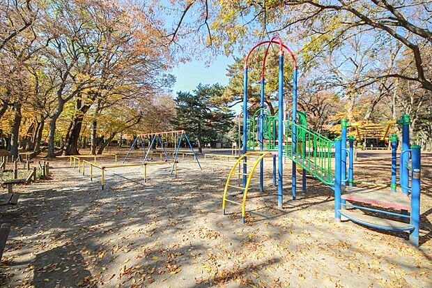 練馬区立大泉公園(約321m)