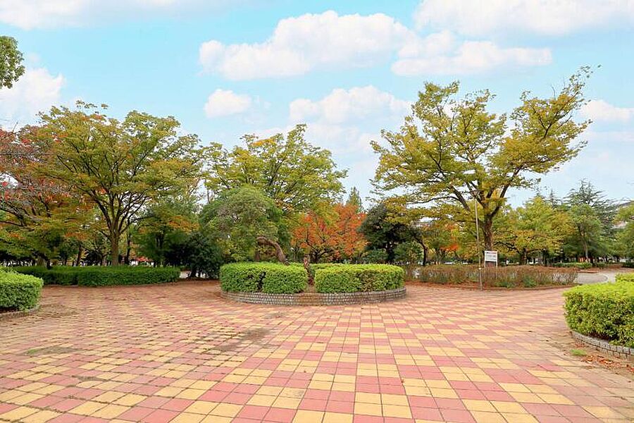 【レジャー】新松戸中央公園（現地より徒歩10分）