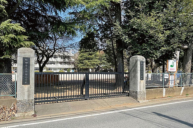 南部小学校(現地より徒歩19分)