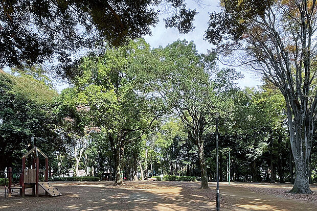 日立台公園（現地より徒歩14分）