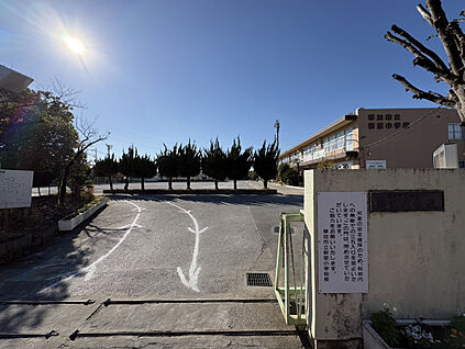 【草加市立新里小学校】 481m