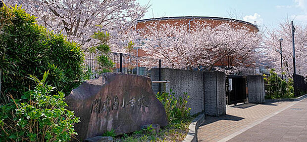 開成南小学校（通学校）（約290m）