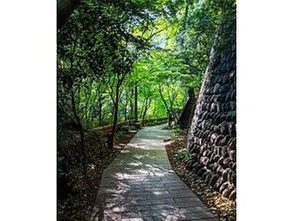 深大寺参道 1630m