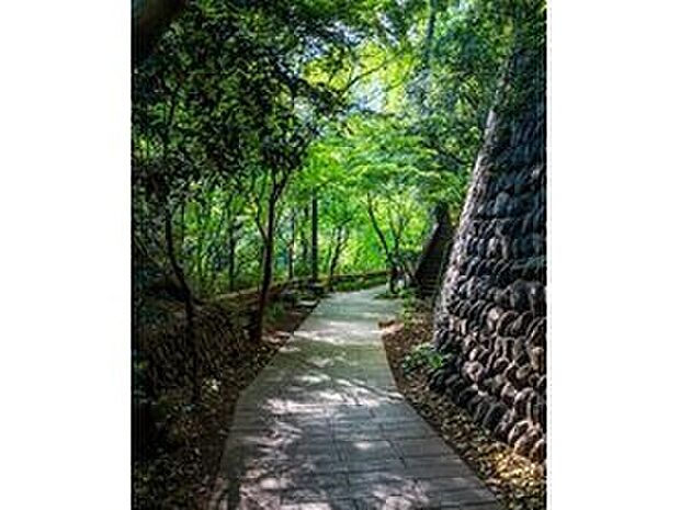 深大寺参道（約1,630m）