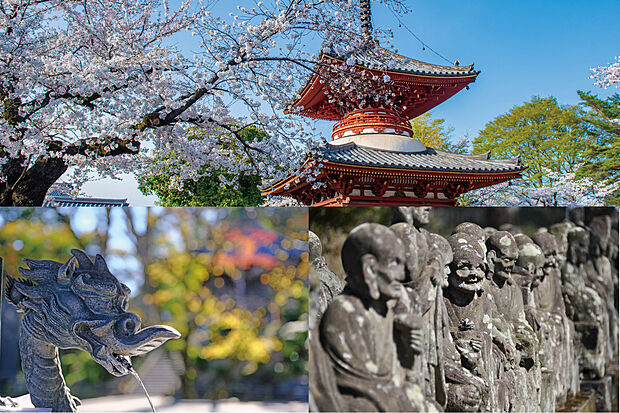 多院の歴史と情緒を身近に感じる立地に誕生する分譲地「都喜の音（ときのね）」
受け継がれる景色のそばで、歴史と暮らしやすさが調和する心地よいロケーションです。