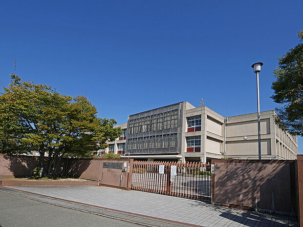 若宮小学校(約910m)