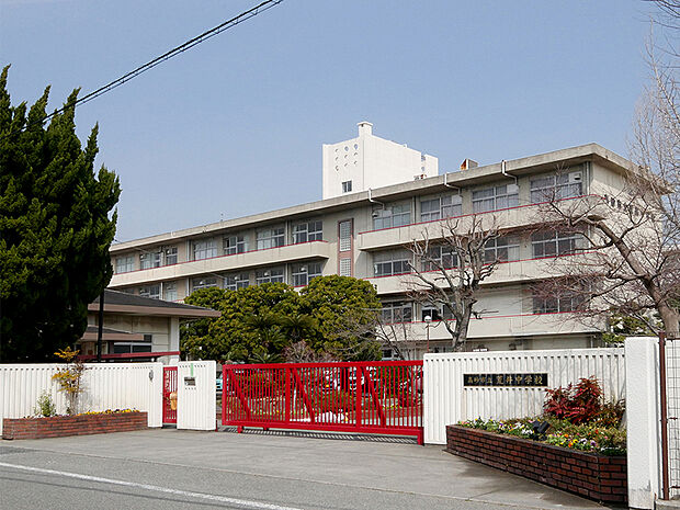 荒井中学校（約100m）