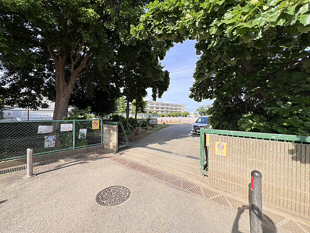 酒井根小学校（約370m）