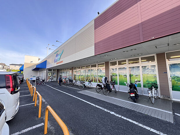 FOODS MARKET Selection青葉台店（約640m）