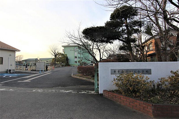 さくら小学校　