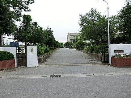 大沼中学校 800m