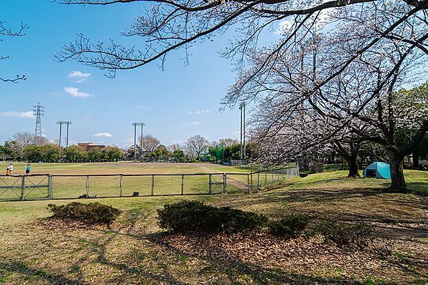 青葉公園(現地より徒歩5分)