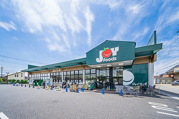 ジョイフーズ杉戸高野台店(現地より徒歩11分)
