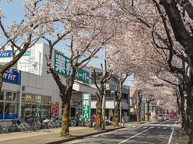 業務スーパー ふじみ野店(約750m)