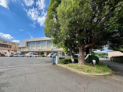 秦野市立鶴巻小学校 750m