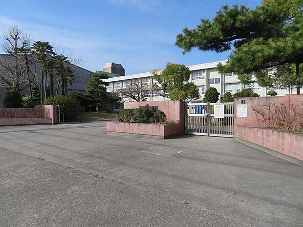 渋川小学校（約230m）