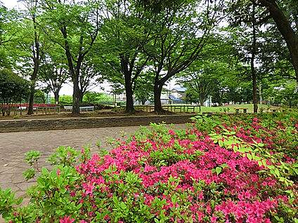 つつじ公園 350m