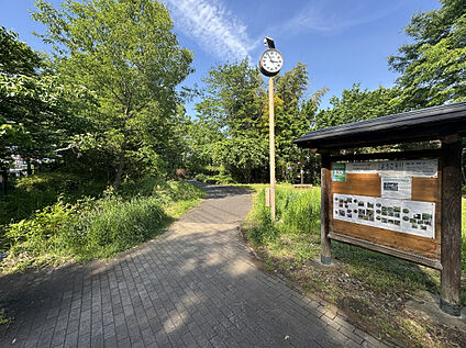 南沢水辺公園 350m