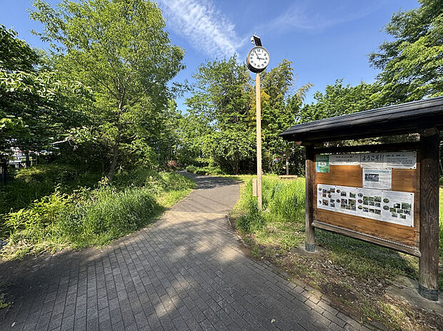 南沢水辺公園（約350m）