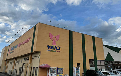 ヤオハン　今市店 1220m