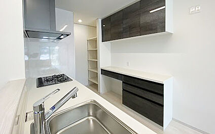 現地写真：キッチン（1号棟）