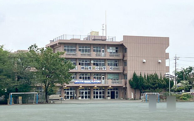 椿峰小学校（約160m）