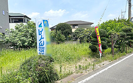 現地写真：更地