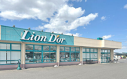 リオン・ドール 矢吹東店 330m