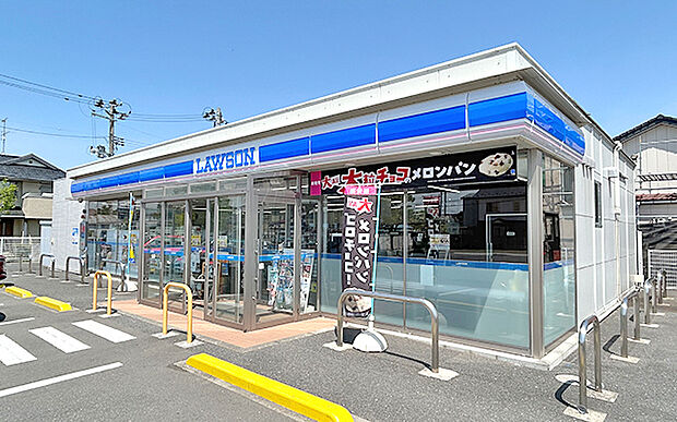 ローソン中新田岡町(約410m)
