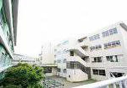 市立緑ヶ丘小学校 約480m～500m(徒歩6分～7分)