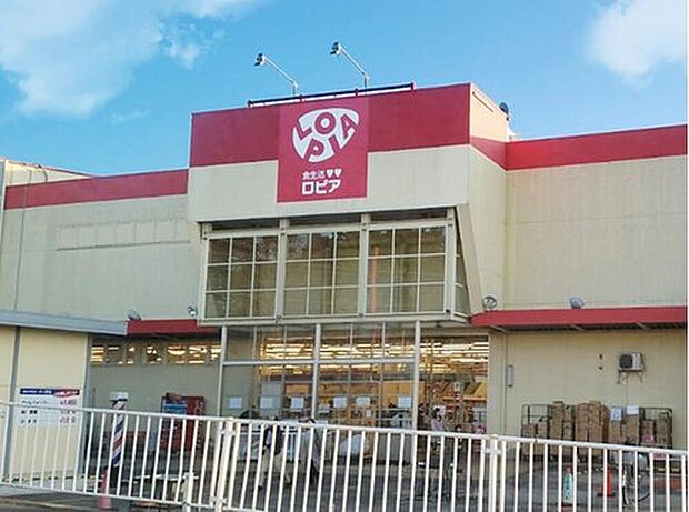 ロピア綾瀬店(約750m)