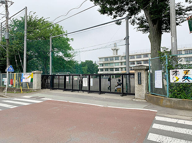 市立有馬小学校（約500m）