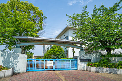 市立緑丘小学校  約530m～1,140m(徒歩7～15分)