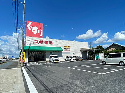 スギ薬局　竹村店 550m～690m(徒歩7分～9分)