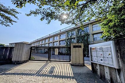 八坂小学校/徒歩6分 約420m