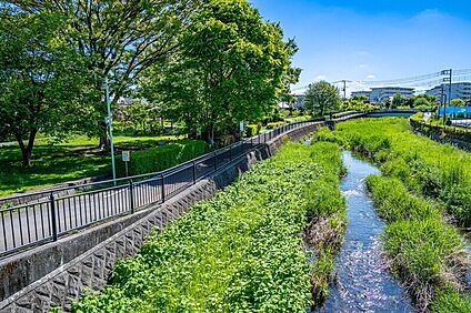 黒目川(新大橋)（現地より徒歩5分） 約350m