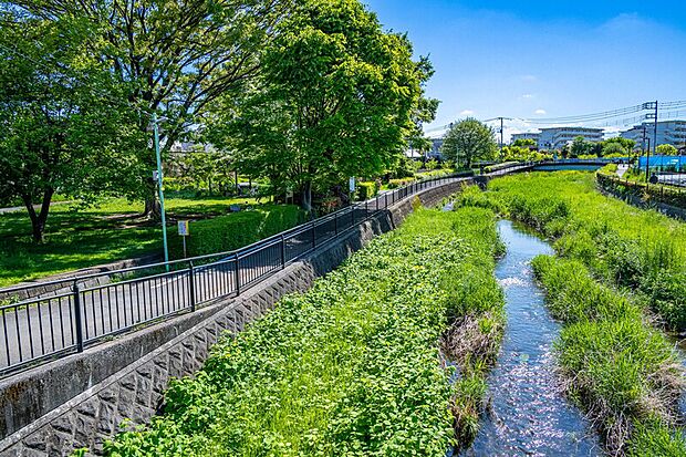 黒目川(新大橋)(現地より徒歩5分)