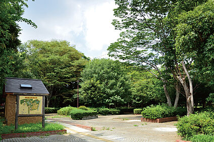 八幡公園（現地より徒歩11分） 約820m
