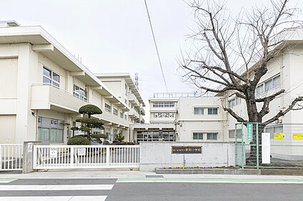 新和小学校(指定校)/徒歩15分 約1160m