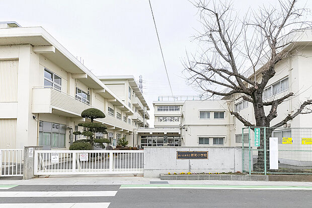 新和小学校(指定校)/徒歩15分