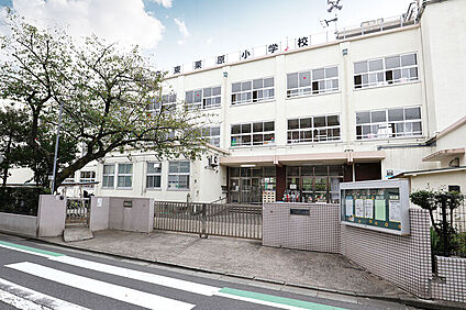 東栗原小学校/徒歩8分 約580m