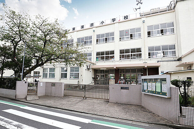 東栗原小学校/徒歩8分