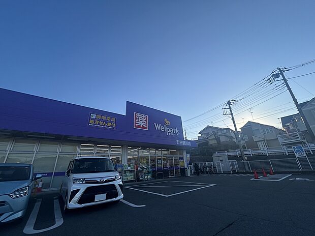 ウェルパーク（約300m）