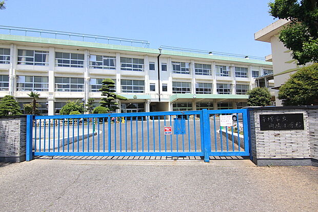 平塚市立岡崎小学校(約1,200m)